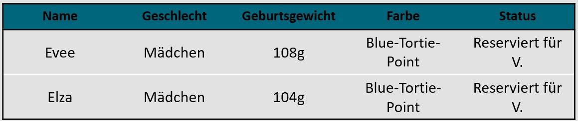 Tabelle A-Wurf