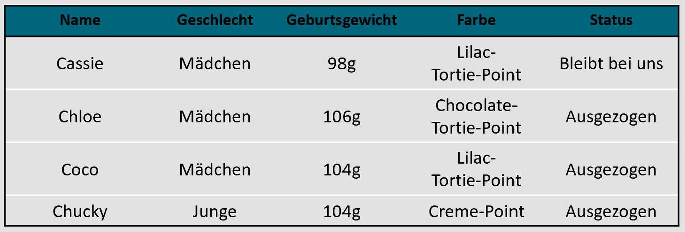 Tabelle A-Wurf