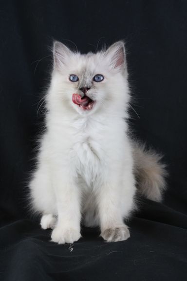 Elza