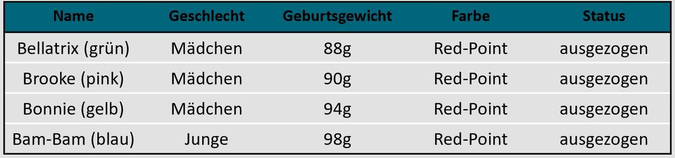 Tabelle A-Wurf